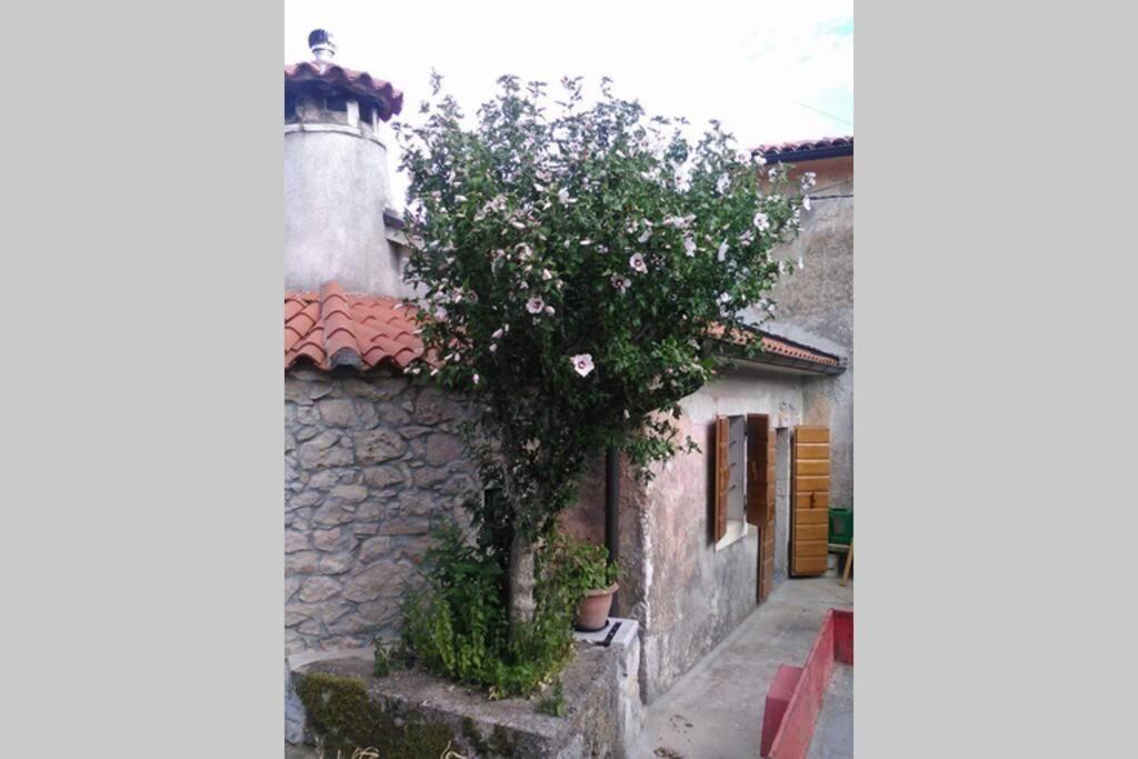 Vacation Home Marinici Mošćenička Draga エクステリア 写真